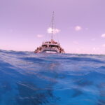 Great Barrier Reef #1