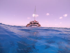 Great Barrier Reef #1