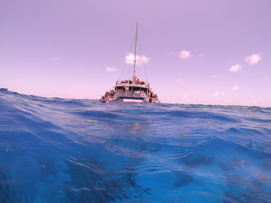 Great Barrier Reef #1