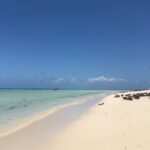 Mere snorkling i paradis