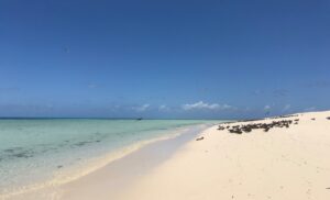 Mere snorkling i paradis