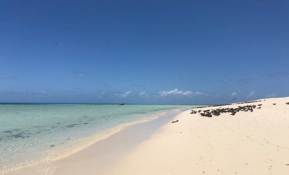 Mere snorkling i paradis